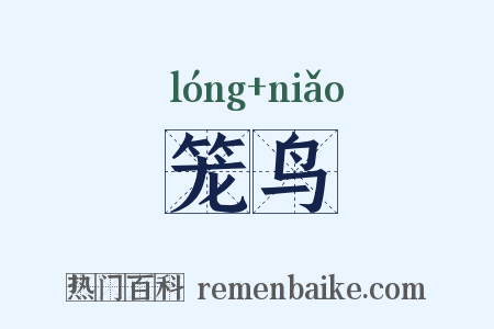 笼鸟是什么意思的图片